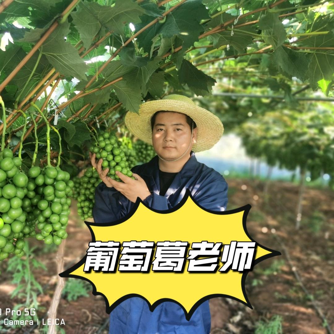佳益农资葛毅山