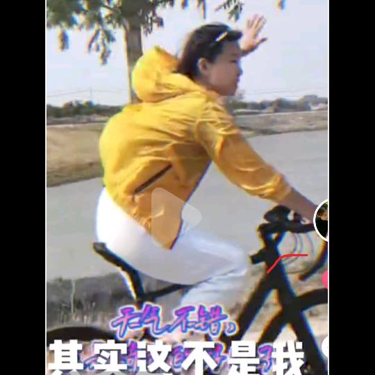 南大卜凤凰菲尼仕山地车