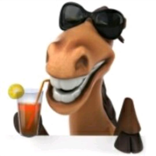 问道驴哥(经典服研究生)