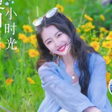 鲸鲸
