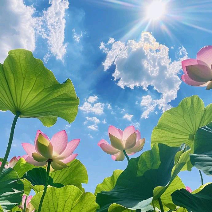 🌈时光正好