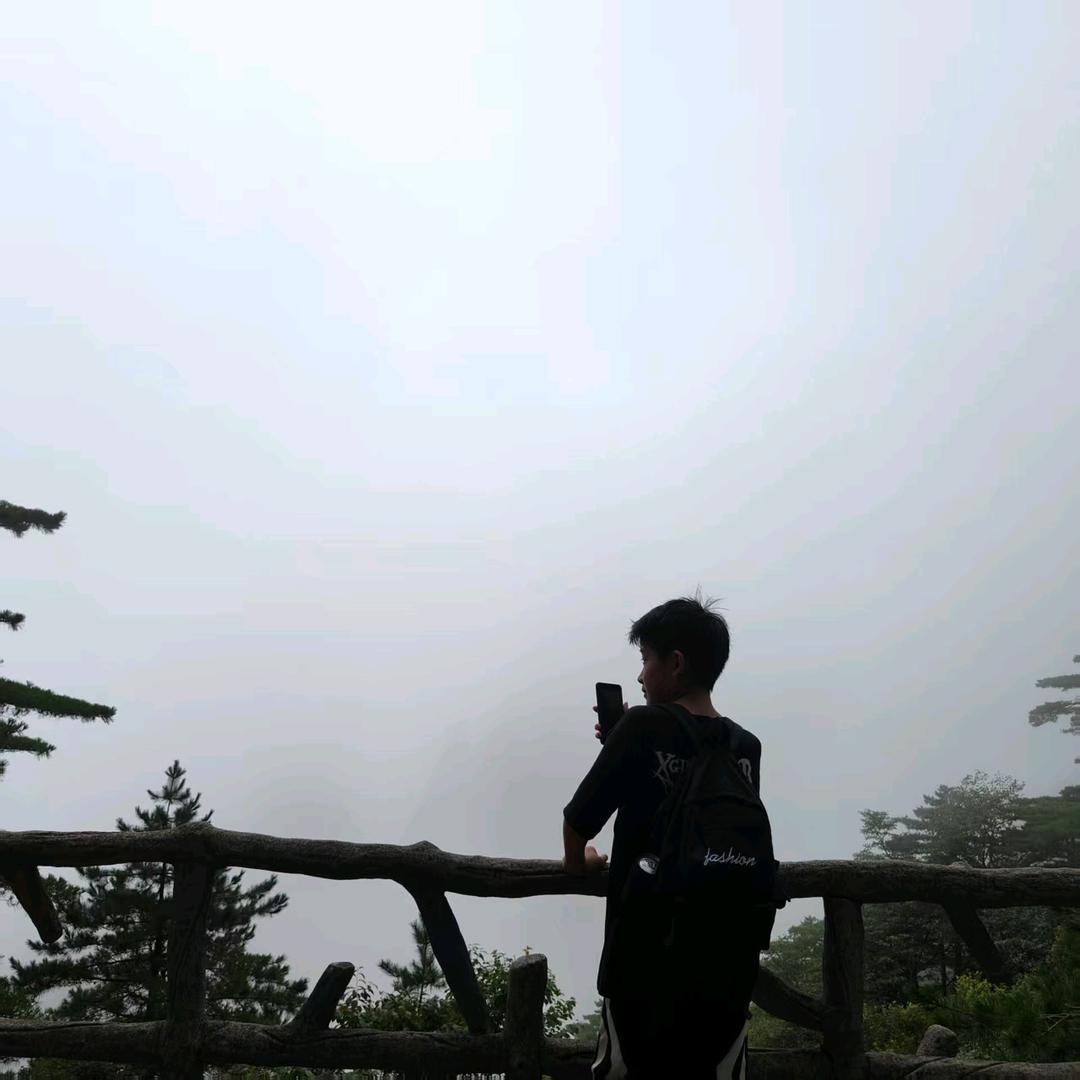杨敏