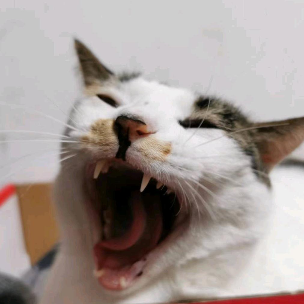 Zqchm