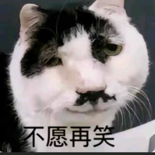 嗳呦