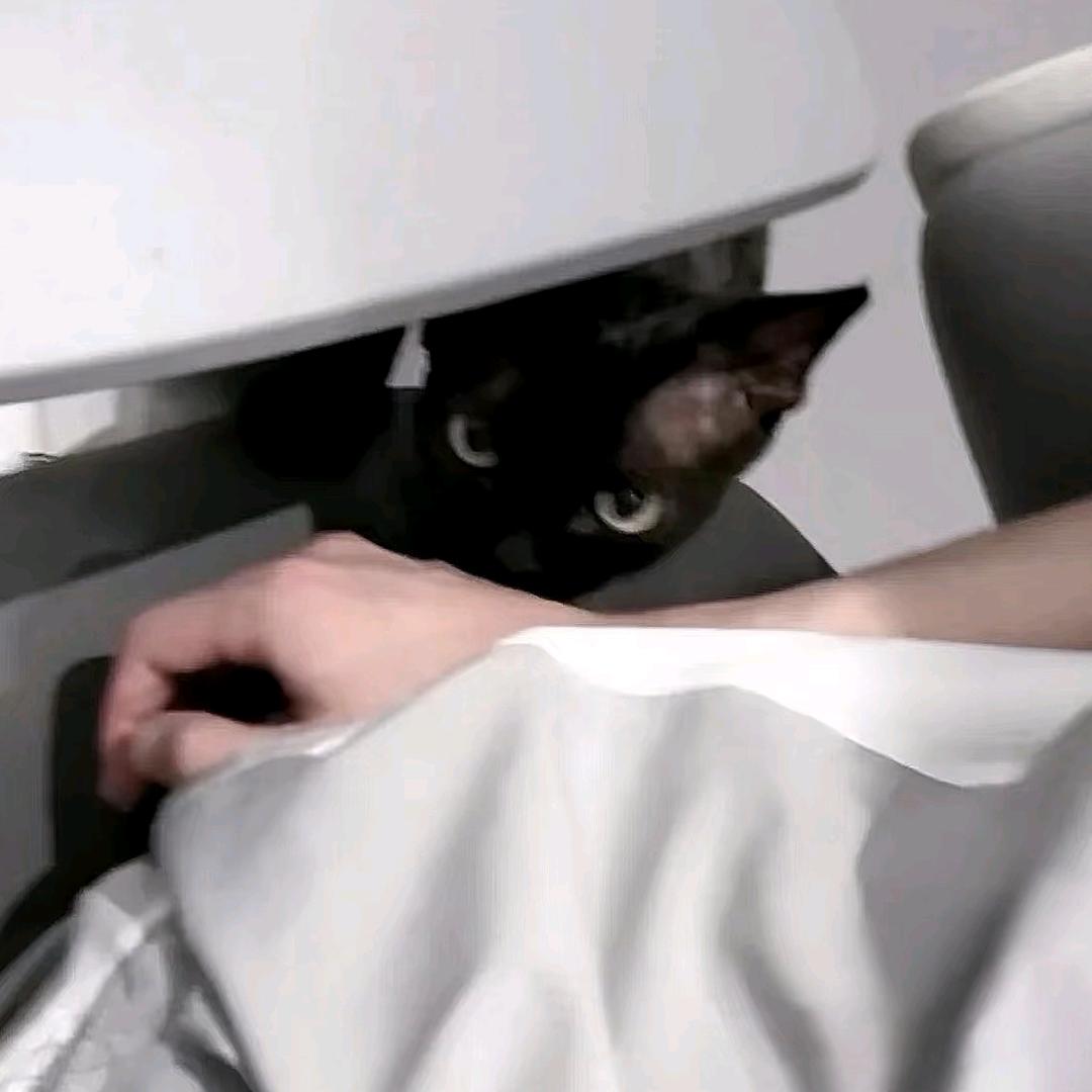 Cyu