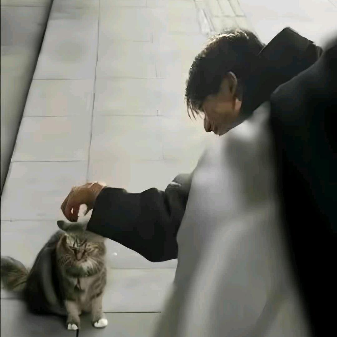 朝犹