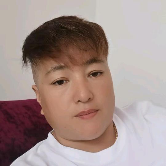 🐉龙飞凤舞🐉