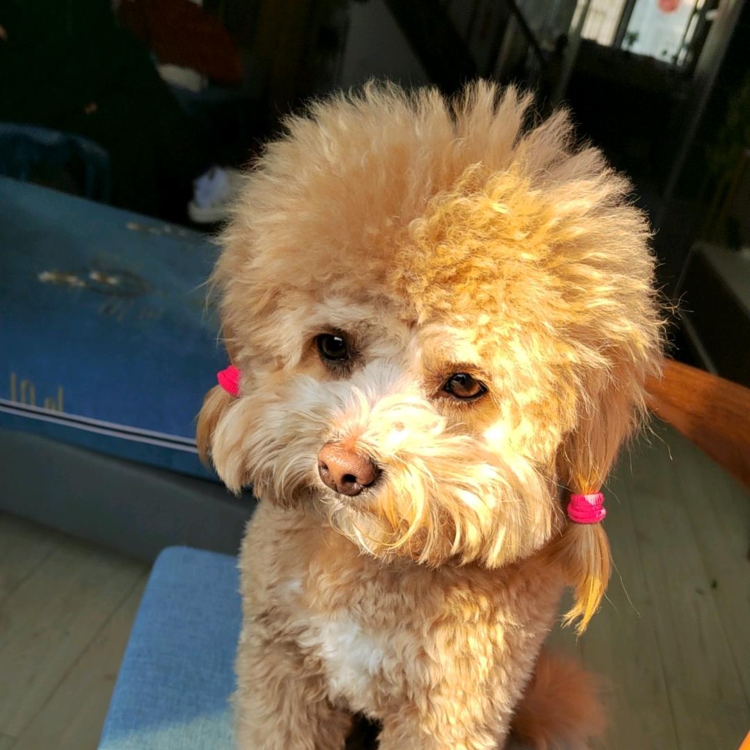 期待(๑✦ˑ̫✦)✨