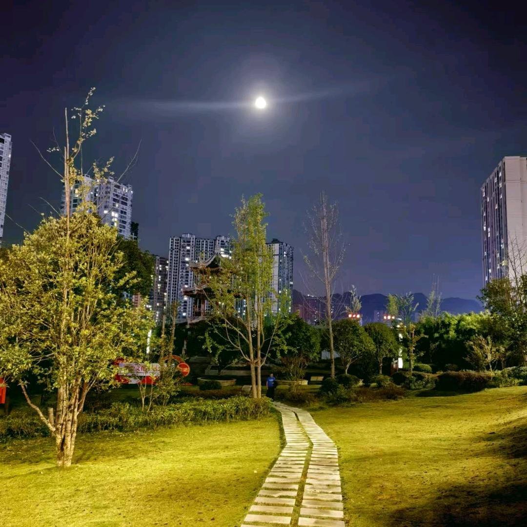 杨碧霞
