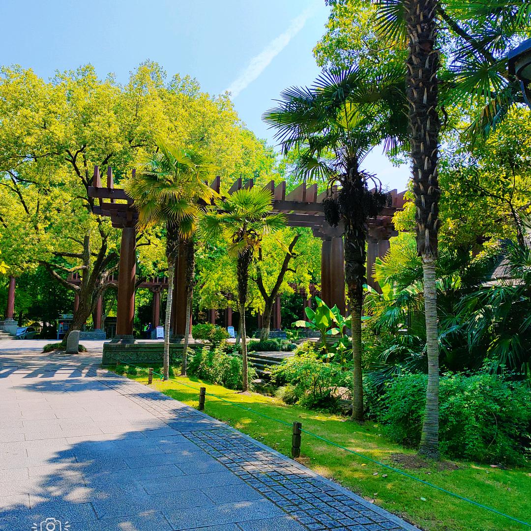 不哇塞的卡拉萌