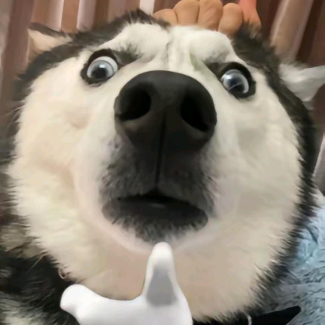 秋叶寒