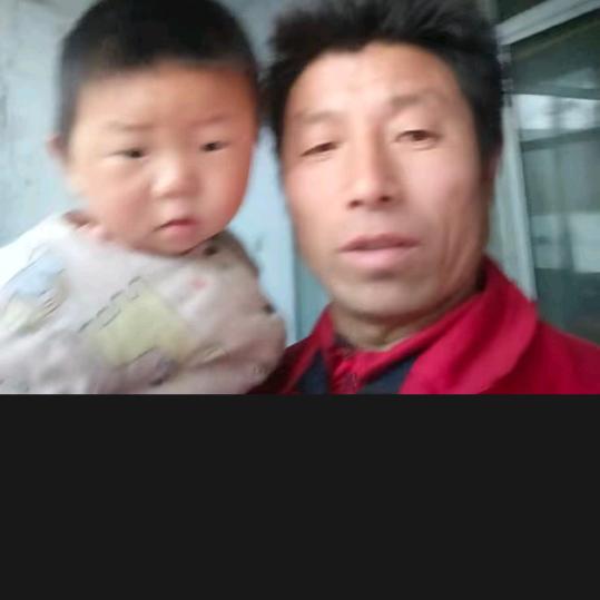 董仲民