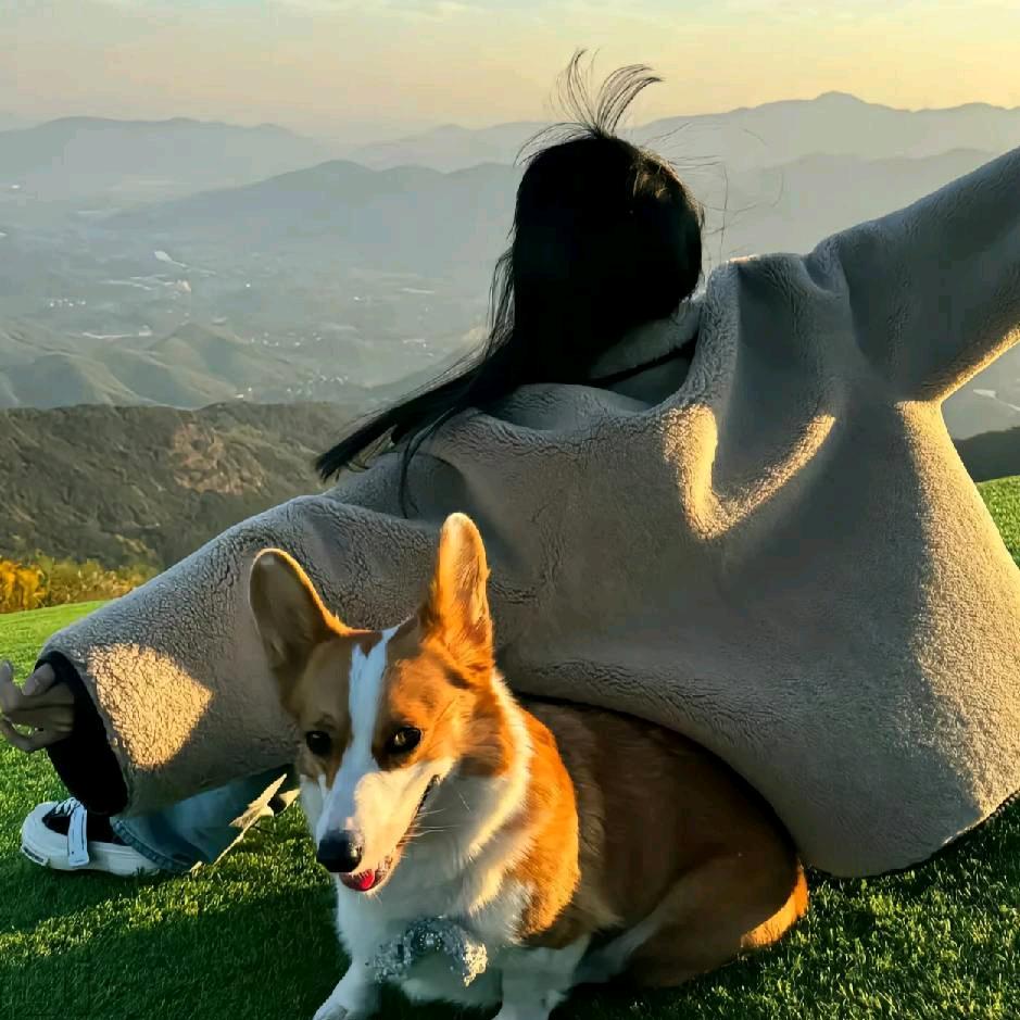 欧吉✅