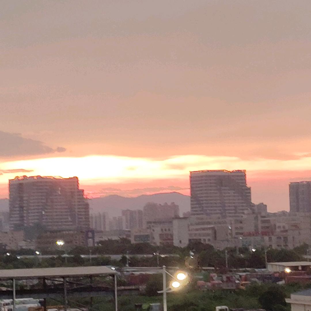 鲤鱼