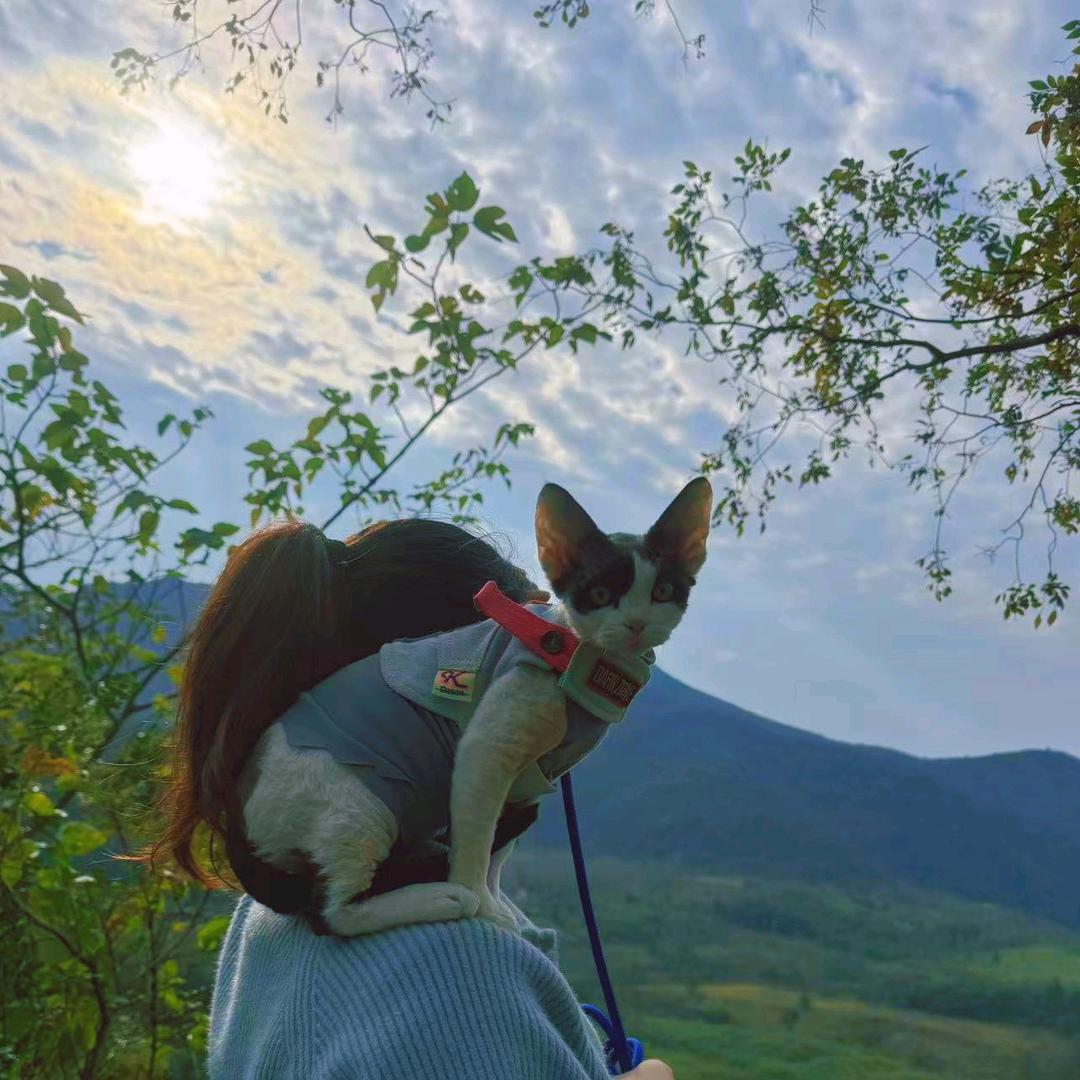 小花