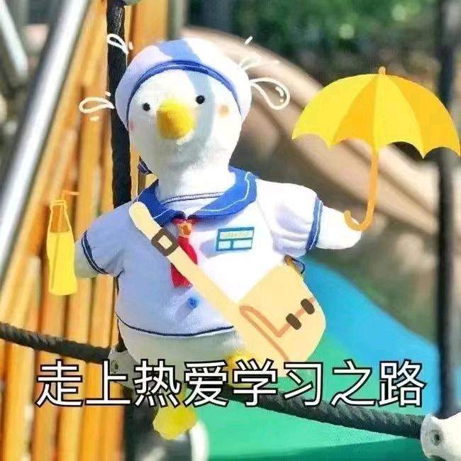 安吉考公小能手