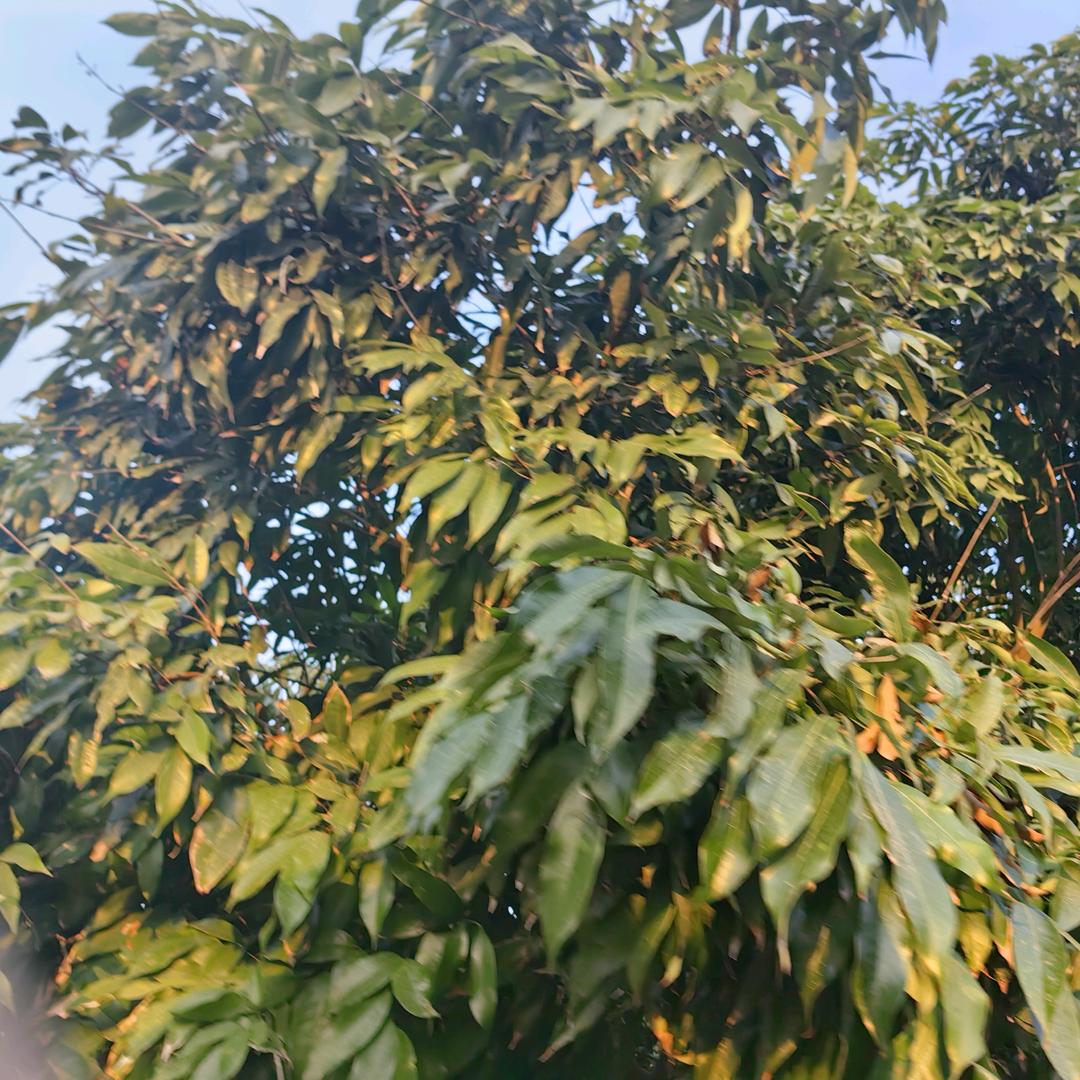 80272843406