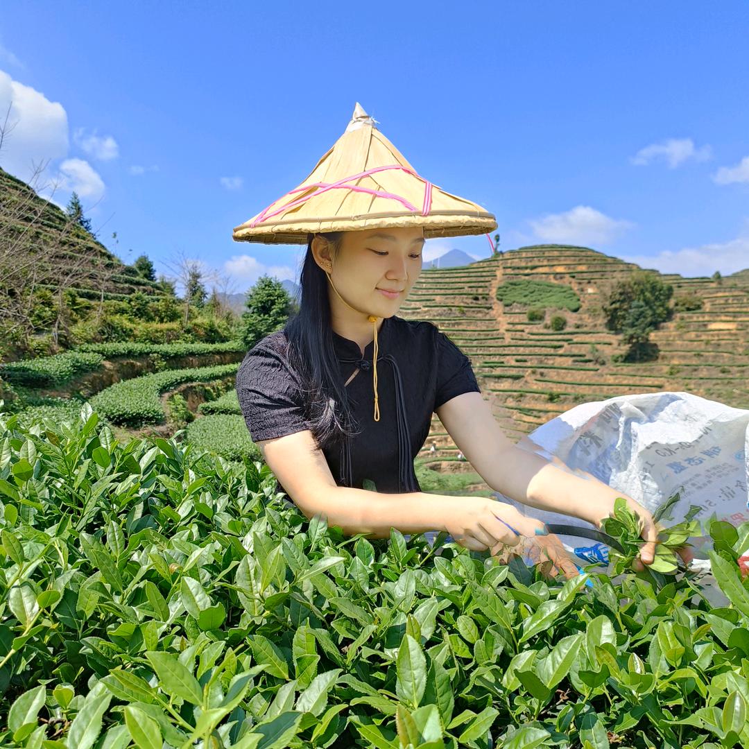 祥华丫头《艺华》