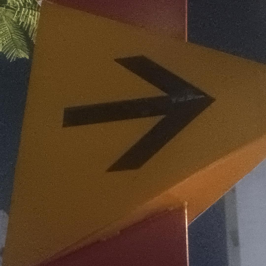 林中乾坤