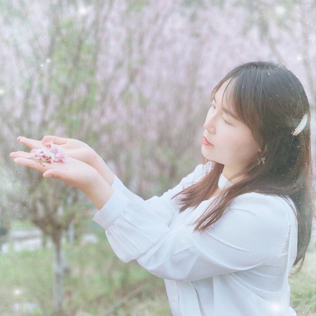 🌸红雪🌸