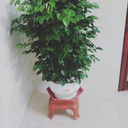 家和万事兴