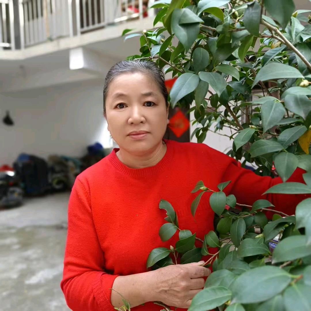春姐首播