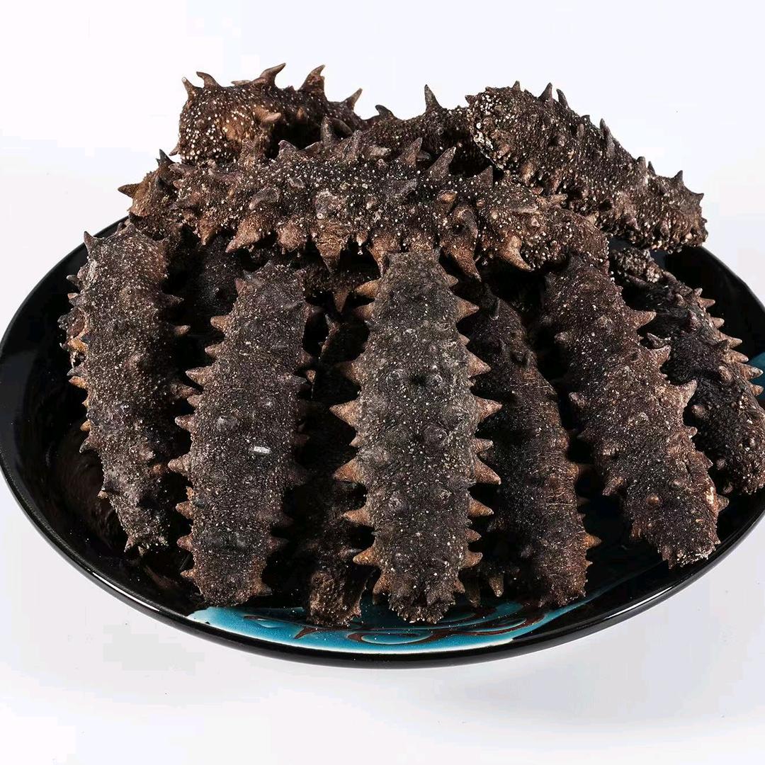 锦邻海参工厂店