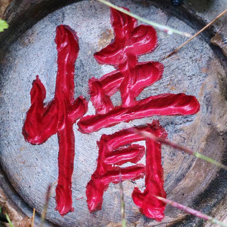 一缕阳光用户1074294237218