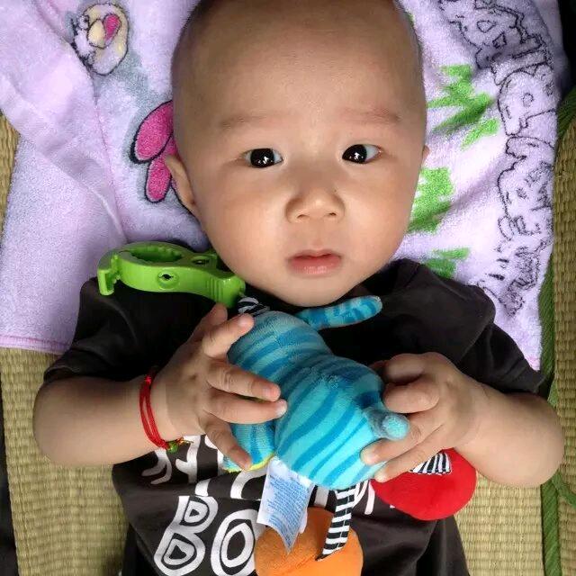 小葡萄妈妈