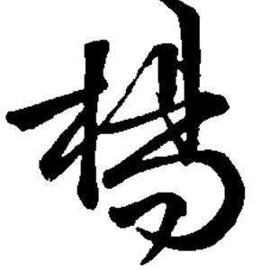情深缘浅