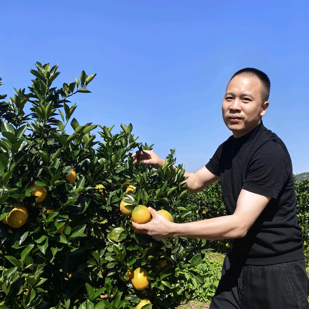 厚织坊服饰陈厚敏