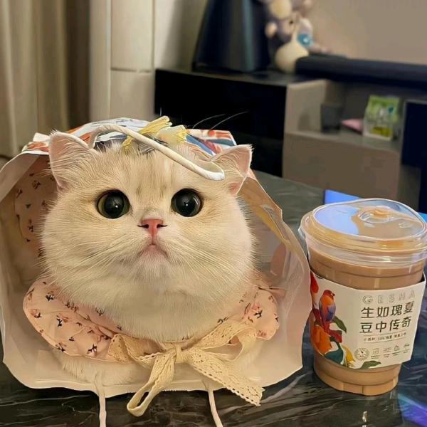 H的宝藏仓库