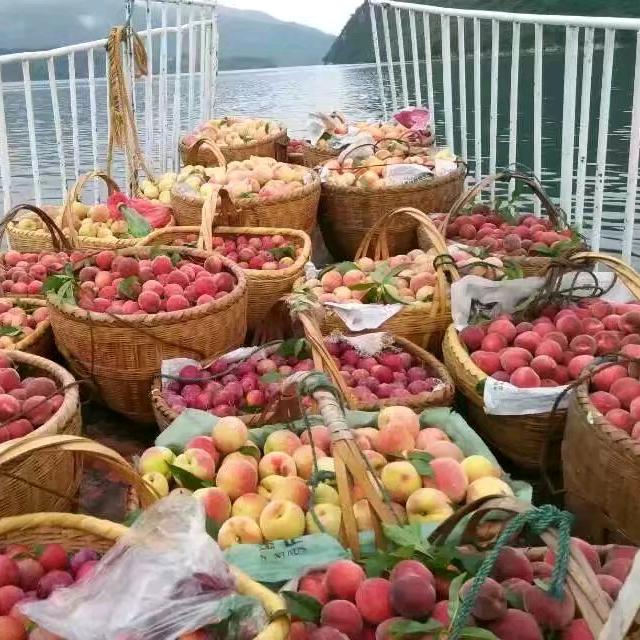 东江湖清东农家