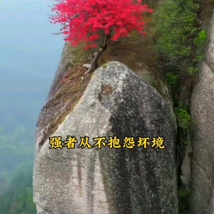 农民哥