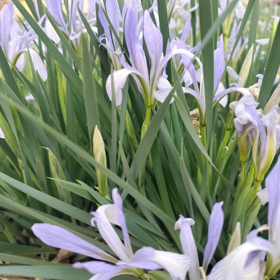 做自己的女王👸🏻