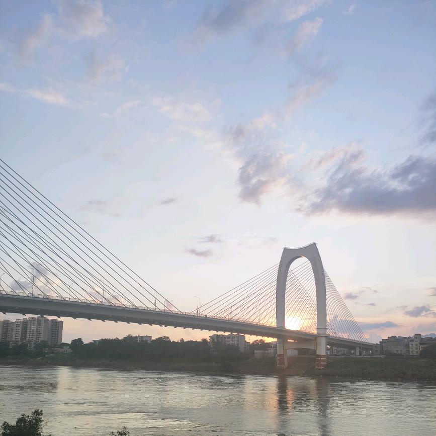锦起卓