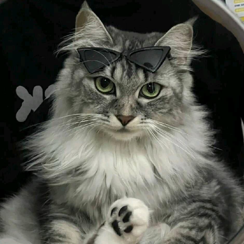 .心碎社恐腼腆内向小学生