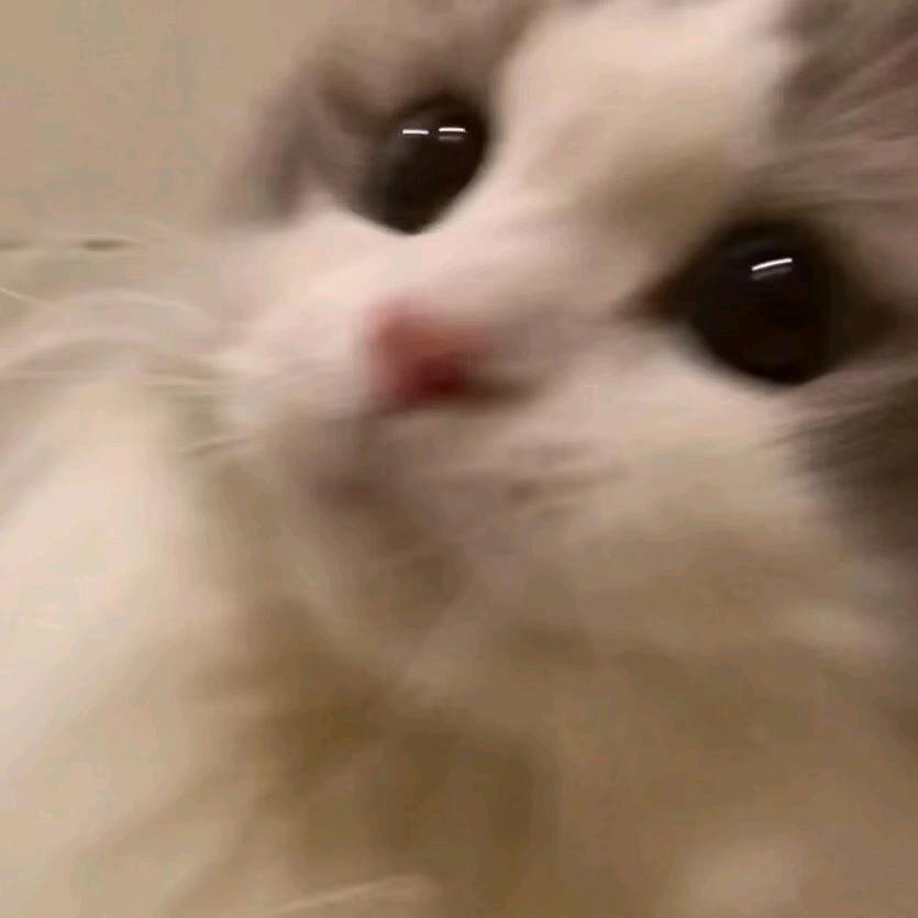 小Yi🧸ovo