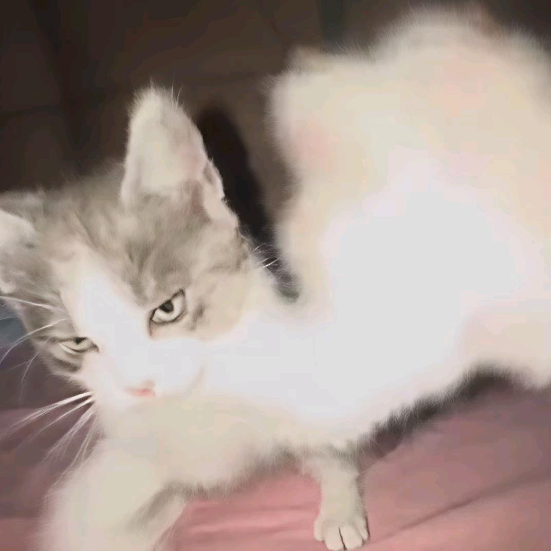 橘落呀(ˊᵒ̴̶̷̤ ꇴ ᵒ̴̶̷̤ˋ)
