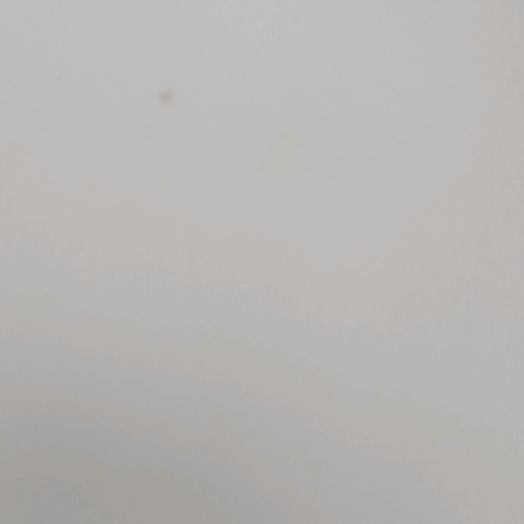 赌性坚强