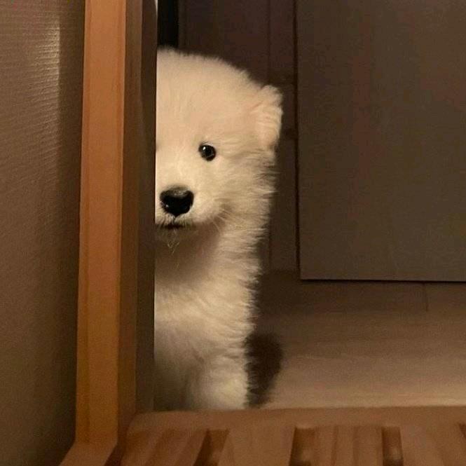 闲心落魄