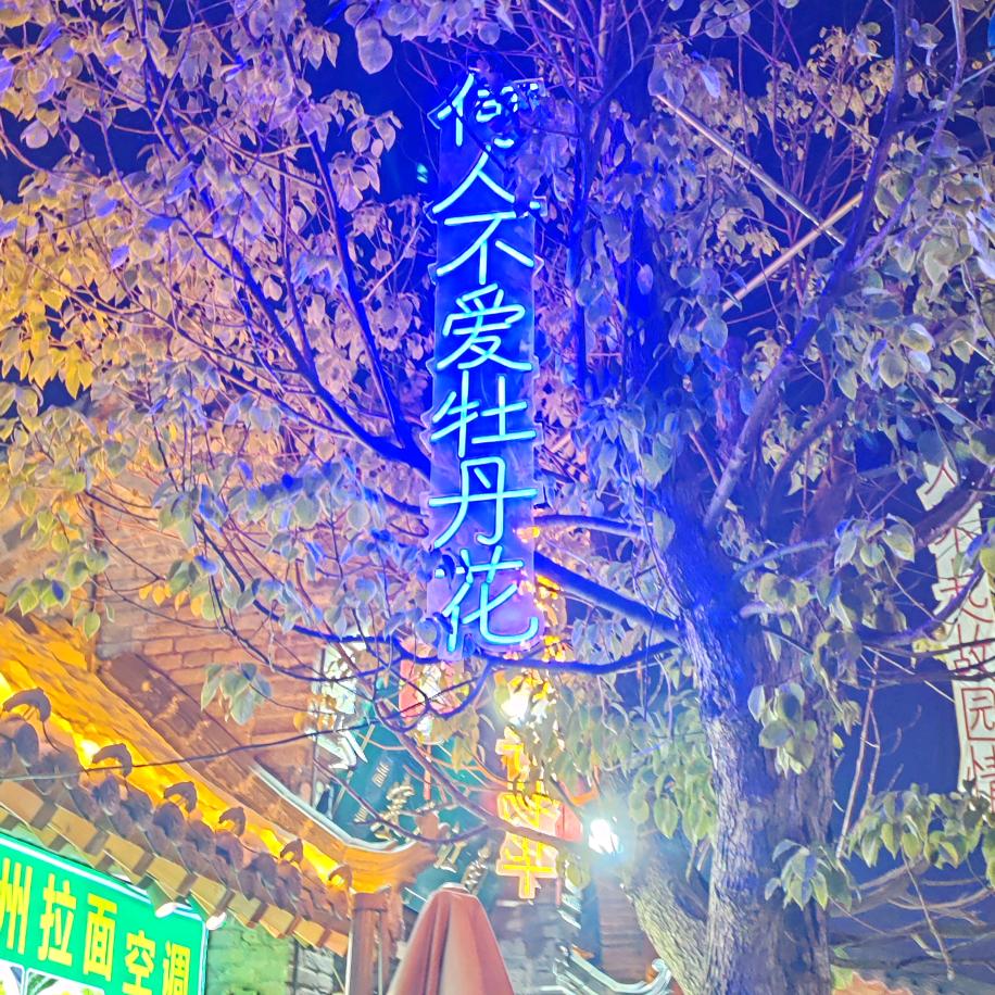 笑✪ω✪看人生