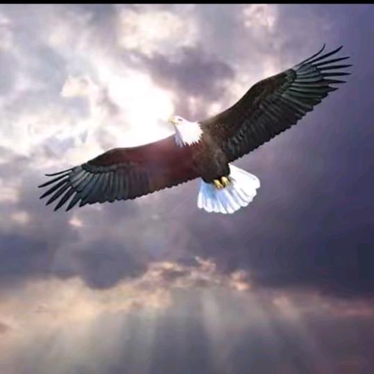 孤街煮酒论英雄