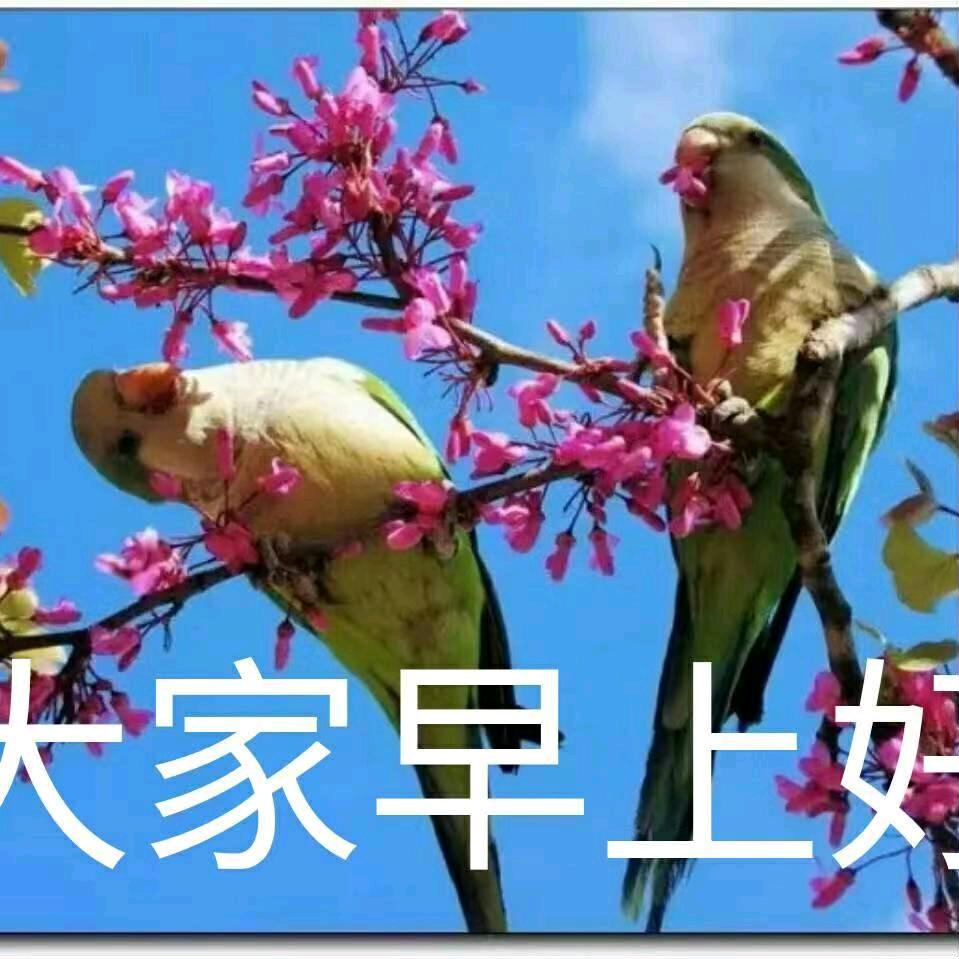 燕泉飞