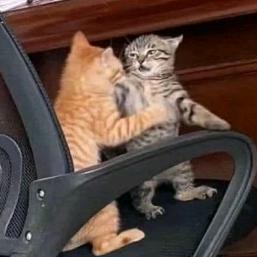 小刘你别吃了！