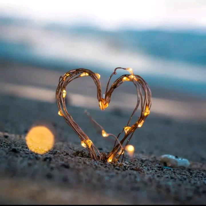 吉庆镇原生态种菜园