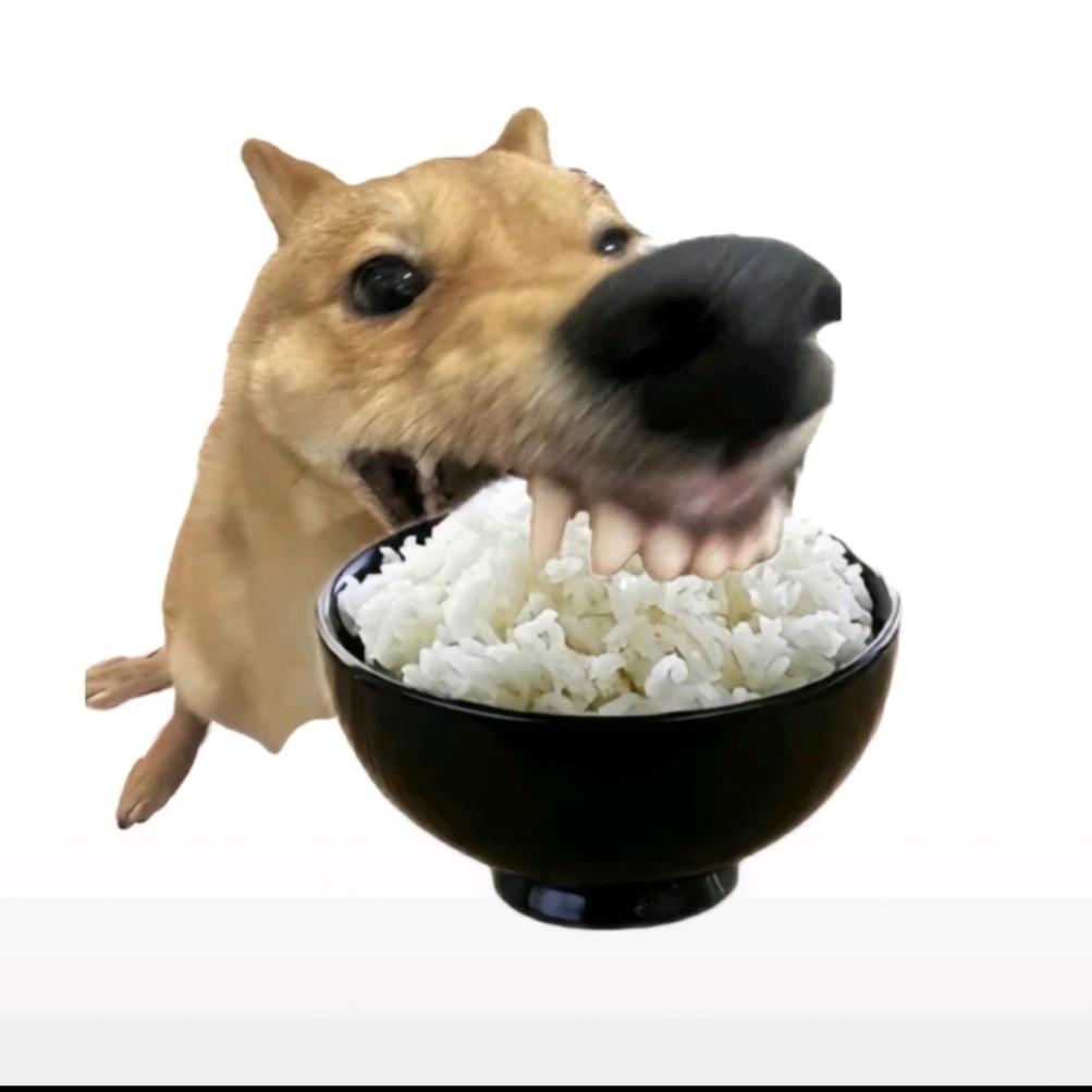 全过