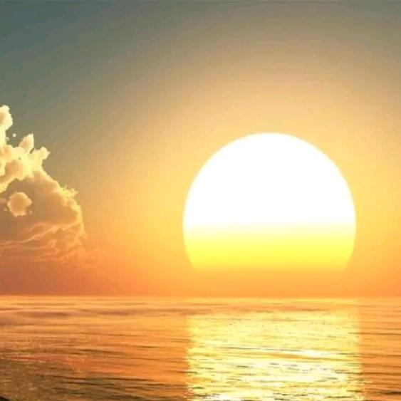 一夕半夏☆