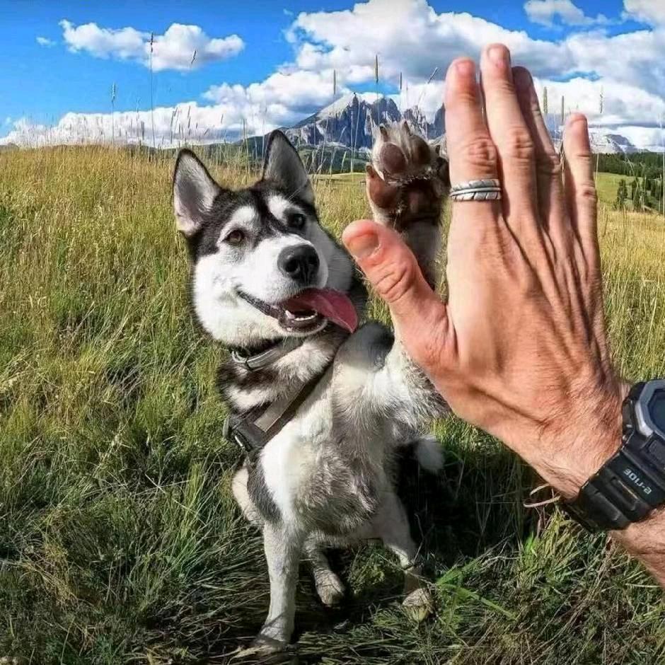 66666666