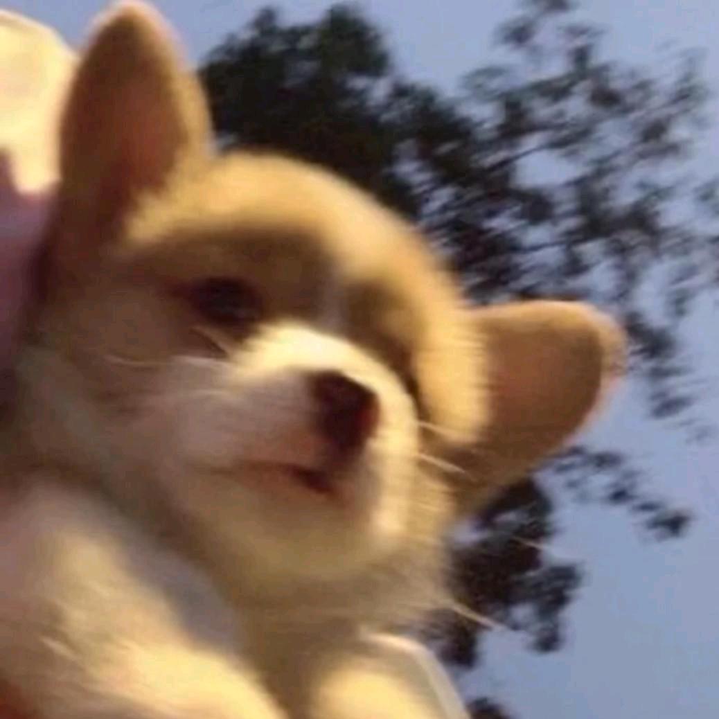 我的世界歪磊